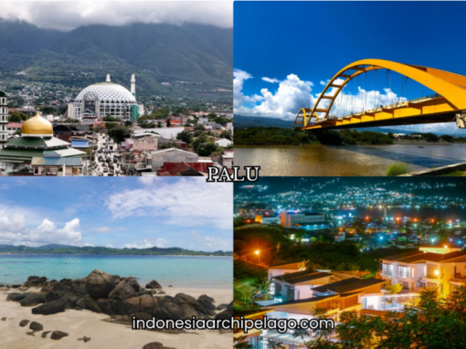 Palu City: Resilient Valley Capital Reborn on the Makassar Strait
